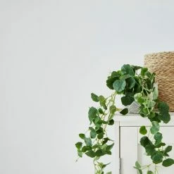 Budget βοΈ Churchgate Churchgate White Matt Emulsion Paint π 7 Budget βοΈ Churchgate Churchgate White Matt Emulsion Paint π -Household Products Shop 30771347 alt04