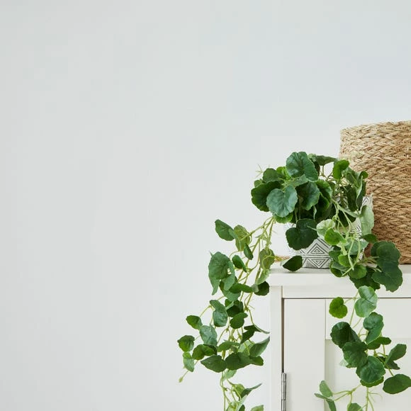 Budget βοΈ Churchgate Churchgate White Matt Emulsion Paint π 4 Budget βοΈ Churchgate Churchgate White Matt Emulsion Paint π - Image 4