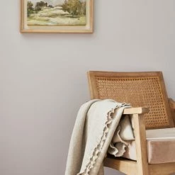 Best reviews of 🤩 Churchgate Churchgate Silver Matt Emulsion Paint ❤️ -Household Products Shop 30771349 alt04