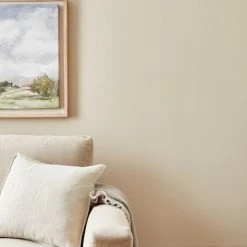 Buy ❤️ Churchgate Churchgate Shell White Matt Emulsion Paint 🔥