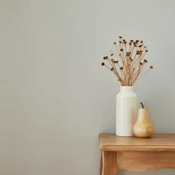 Wholesale 🎁 Churchgate Churchgate Purity Grey Eggshell Paint 🌟